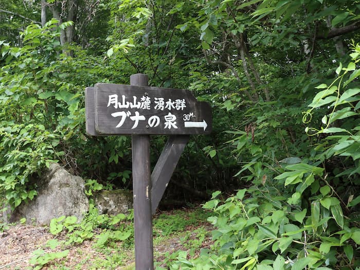 ブナの泉の看板