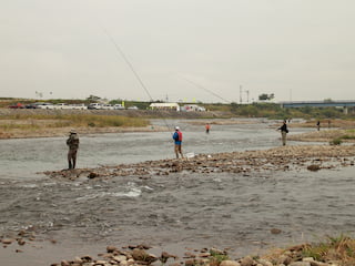 寒河江川の鮭有効利用調査